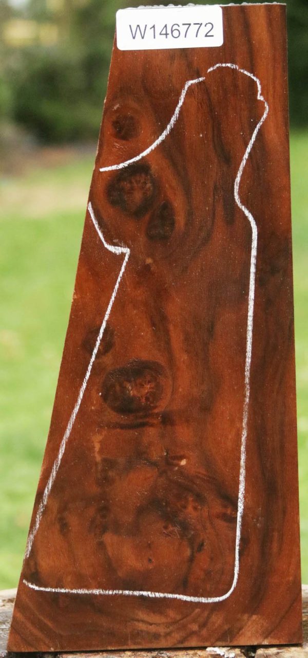 AA+ Claro Walnut Gun Blank For Discount