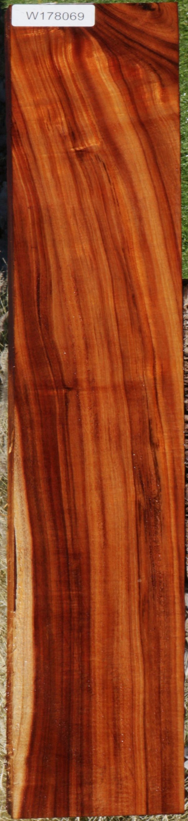 Extra Fancy Curly Hawaiian Koa Instrument Lumber Online Hot Sale