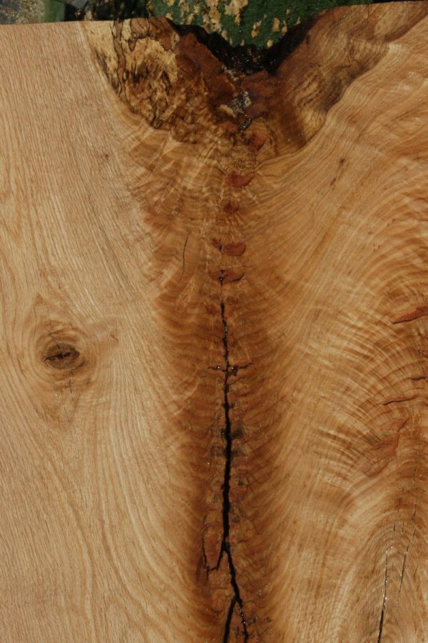 Rustic Oak Slab Discount - Image 4
