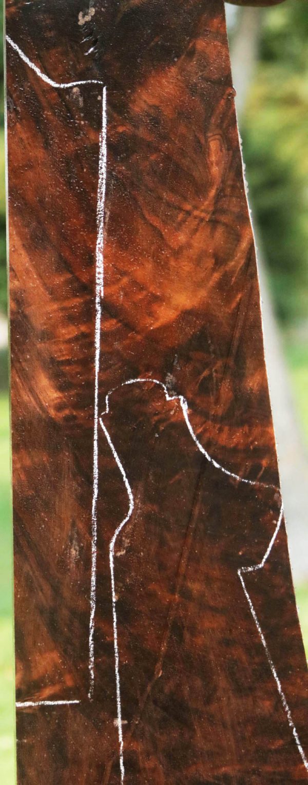 Exhibition Claro Walnut Gun Blank For Sale - Image 5