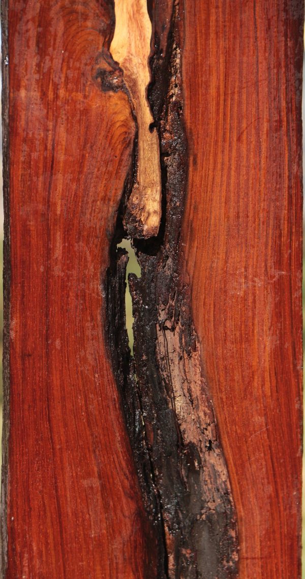 Cocobolo Live Edge Lumber Cheap - Image 4
