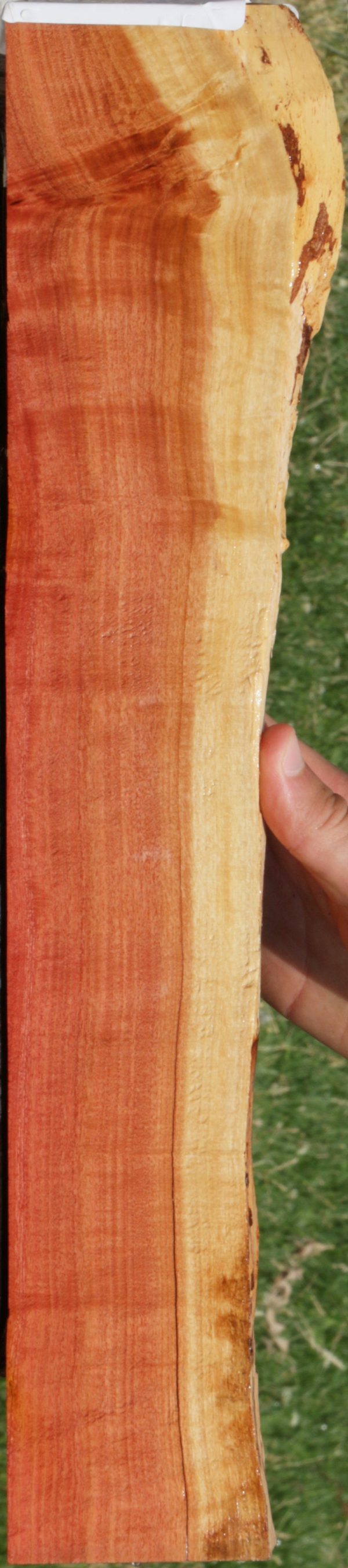 Extra Fancy Pink Ivory Live Edge Micro Lumber Online Hot Sale