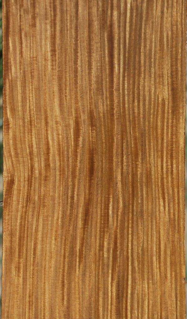 Extra Fancy Quartersawn Afrormosia Lumber For Cheap - Image 2