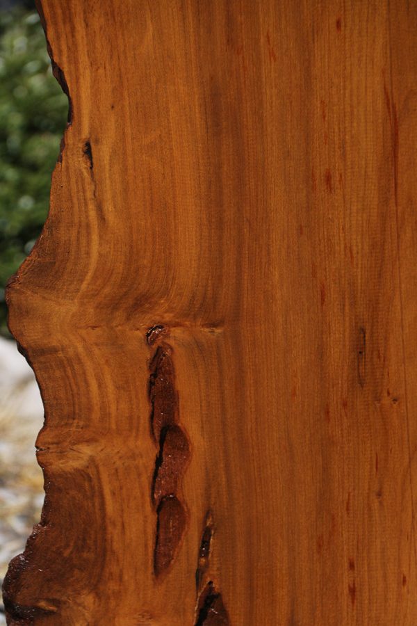Imbuia Live Edge Mini Slab (Free Shipping Excluded) For Sale - Image 5