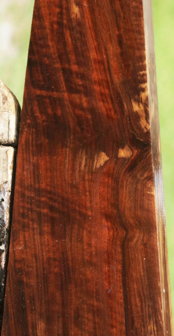 AAA+ Claro Walnut Gun Blank Sale - Image 4
