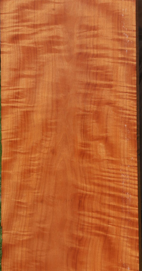 Exhibition Makore Lumber (Item Ships Freight) Online - Image 2