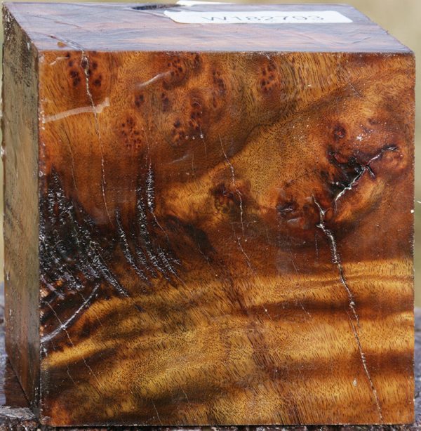Camphor Burl Bowl Blank For Cheap - Image 2