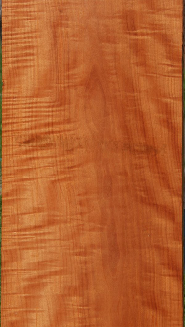 Exhibition Makore Lumber (Item Ships Freight) Online - Image 5