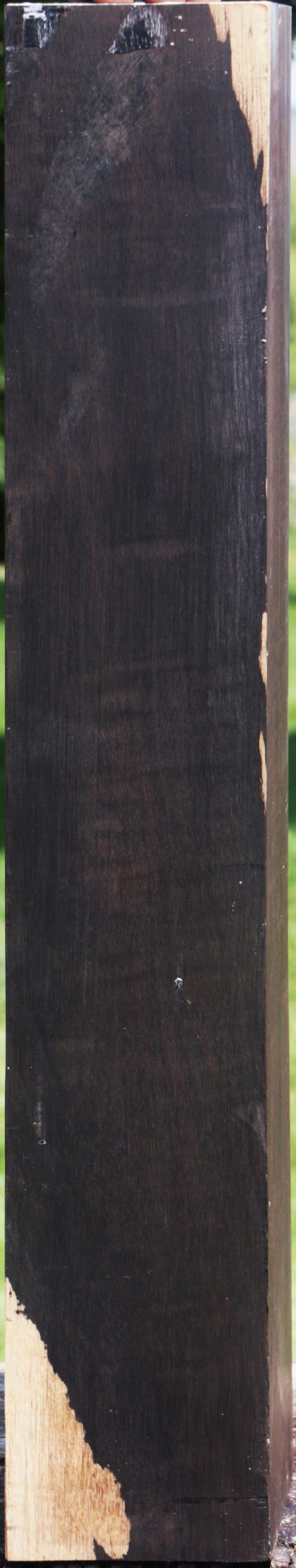 African Blackwood Instrument Blank Fashion - Image 5