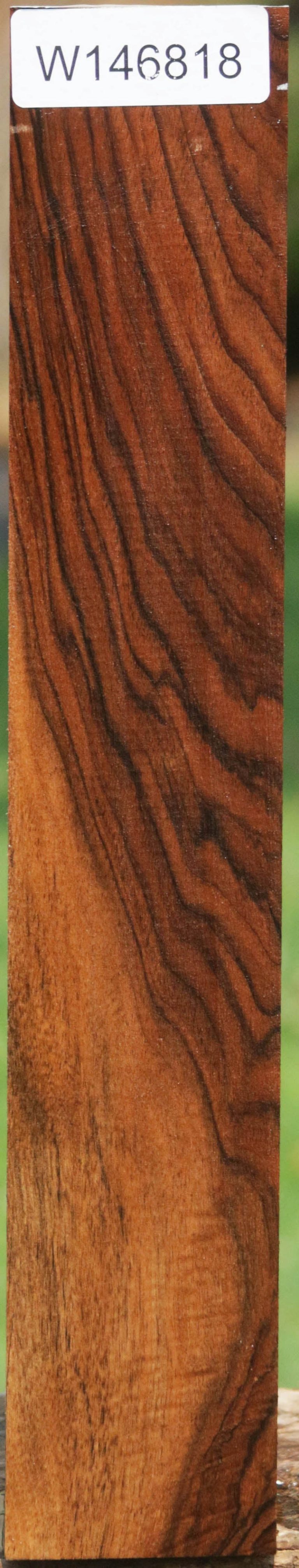 AAA+ English Walnut Forend Online Hot Sale - Image 3