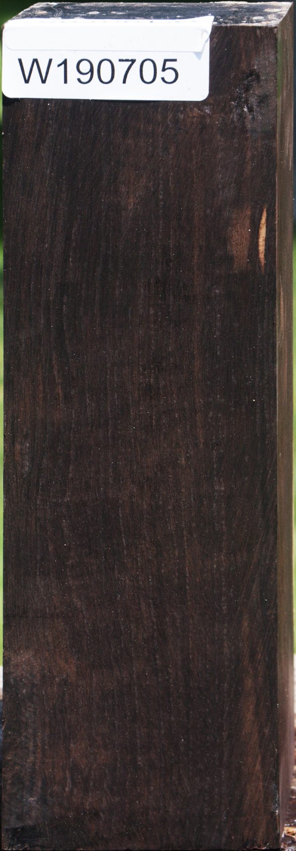 African Blackwood Instrument Blank Online now