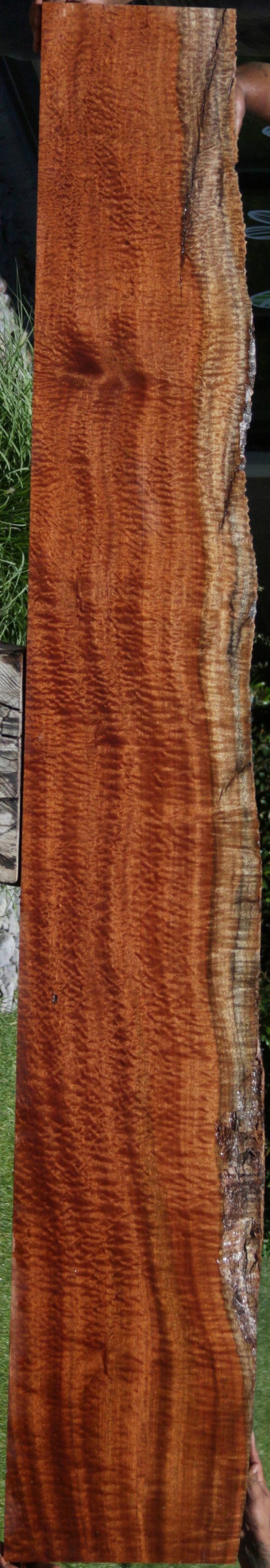Rustic Pomelle Sapele Live Edge Lumber Discount