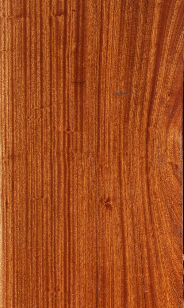 Ribbon Extra Fancy Sapele Micro Lumber Supply - Image 5