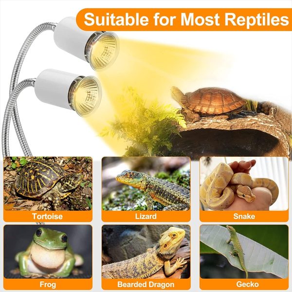 4 Pack Reptile Heat Lamp Bulb (50W*2 25W*2), Basking Heating Light Bulbs for Turtle Tortoise Lizard Snake Bearded Dragon Fashion - Image 5