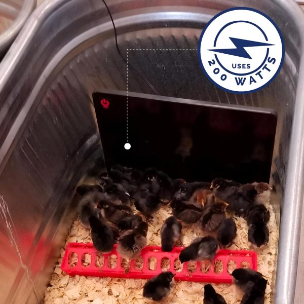 Chicken Coop Heater, Flat-Panel Radiant Heater with Thermal Protector, Energy-Efficient, Easy to Install, Ideal for Small Animals, 200 Watts, Black Online - Image 4