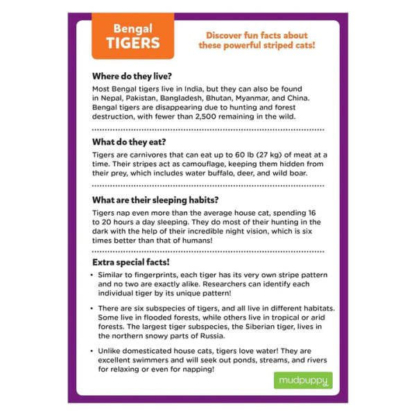 Bengal Tiger Mini Puzzle - 48 Pieces For Discount - Image 2