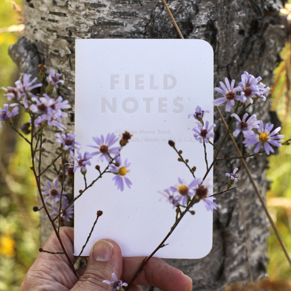 Field Notes: Birch Bark - 3-Pack Memo Book Online Sale - Image 2
