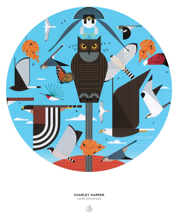Charley Harper: Hawk Mountain 500-Piece Circular Jigsaw Puzzle on Sale - Image 3