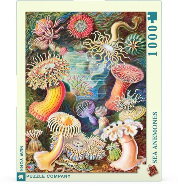 New York Puzzle Company: Sea Anemones - 1000 Piece Puzzle Online now - Image 2