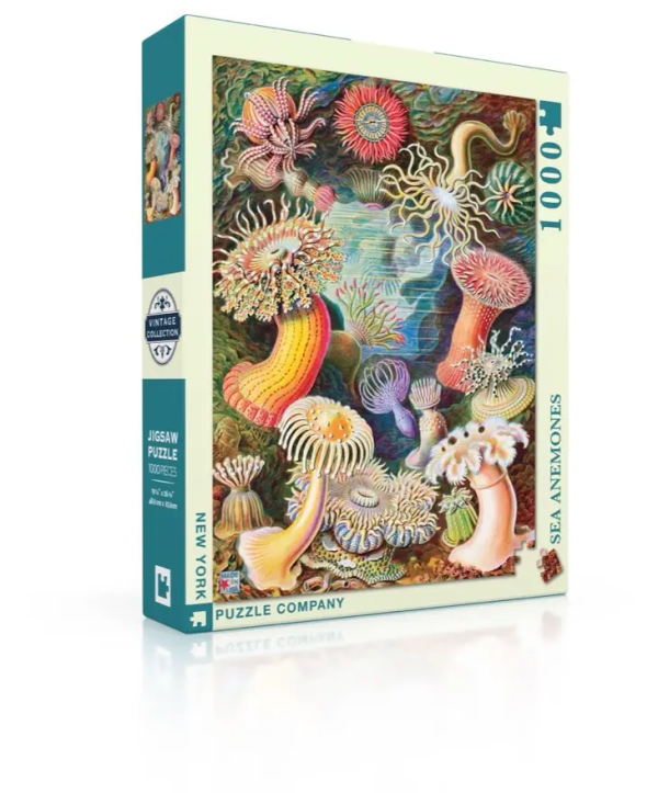 New York Puzzle Company: Sea Anemones - 1000 Piece Puzzle Online now