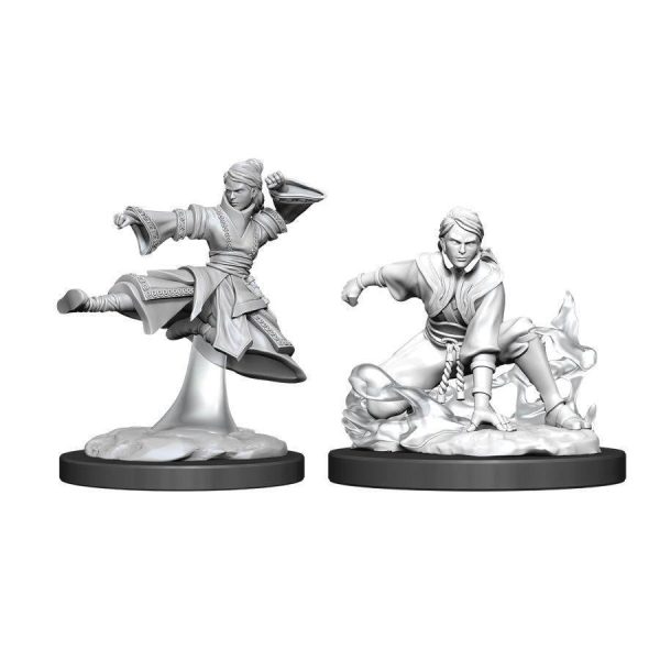 D&D Nolzur s Marvelous Miniatures: Human Monk Female W11 - Unpainted Online now