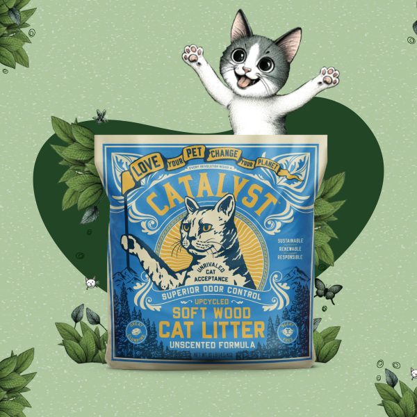 Cat Litter Unscented For Cheap
