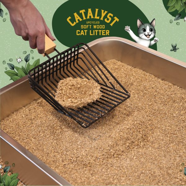 Cat Litter Unscented For Cheap - Image 2