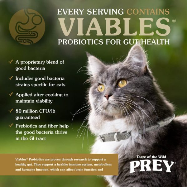 Taste Of The Wild Grain Free Prey Limited Ingredient Turkey Dry Cat Food For Cheap - Image 4