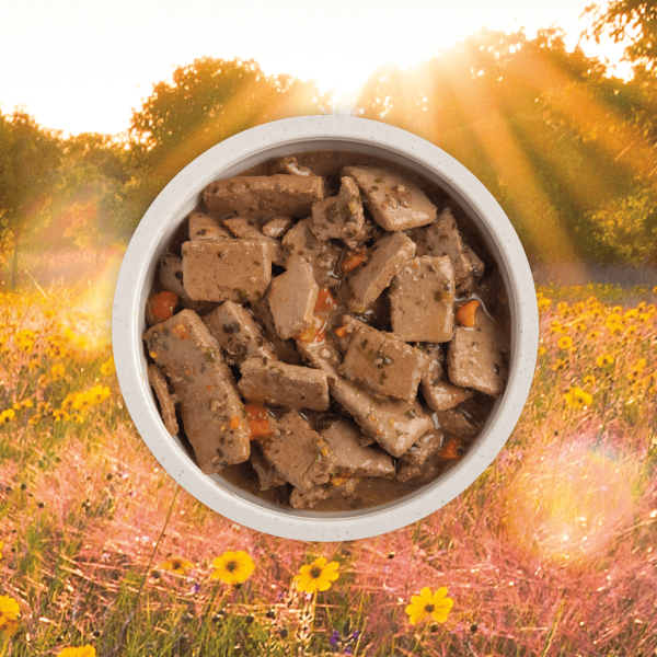 Acana Premium Grain Free Chunks Lamb Recipe in Bone Broth for Dogs Online now - Image 2
