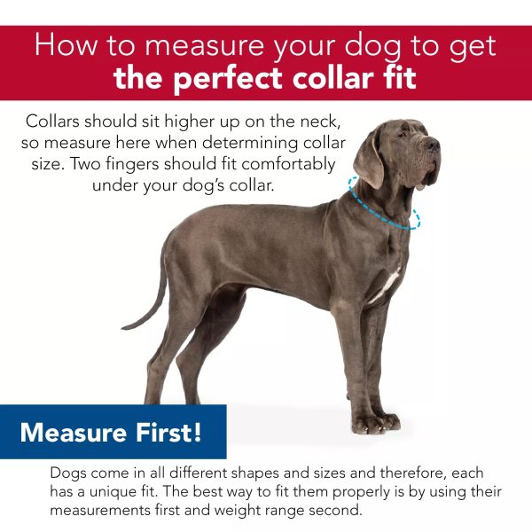 Coastal Pet Products Sublime Adjustable Dog Collar in Pink Tie Dye with Pink Arrows For Discount - Image 2