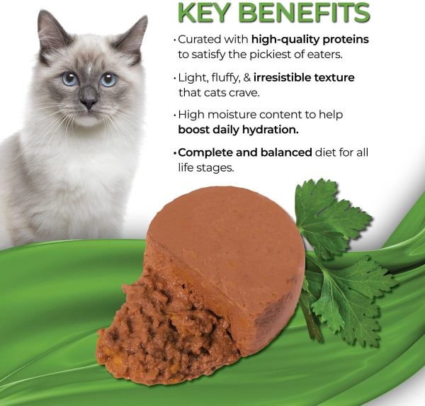 Fussie Cat Fine Dining Mousse Chicken with Pumpkin Entree Canned Cat Food Supply - Image 3