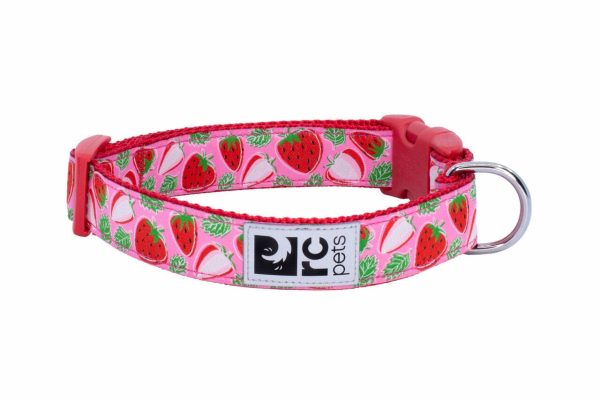 RC Pets Clip Collar for Dogs in Strawberries Pattern For Sale
