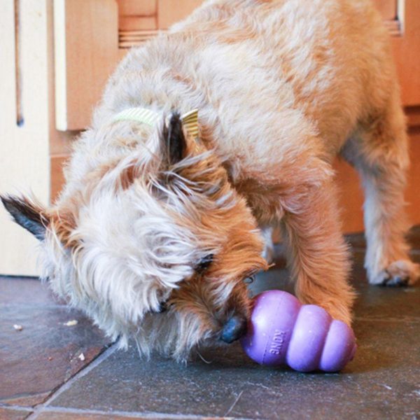 KONG Senior Kong Dog Toy Online - Image 4