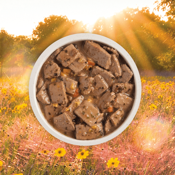 Acana Premium Chunks Grain Free Pork Recipe in Bone Broth for Dogs Discount - Image 2