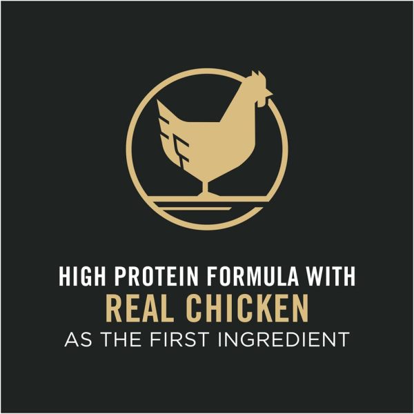 Purina Pro Plan Shredded Blend Chicken & Rice Formula With Probiotics Senior Dry Dog Food on Sale - Image 5