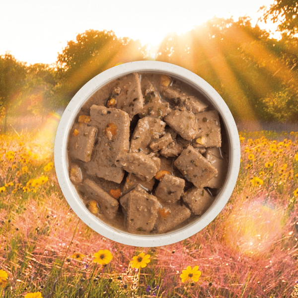 Acana Premium Chunks Grain Free Poultry Recipe for Dogs Hot on Sale - Image 2
