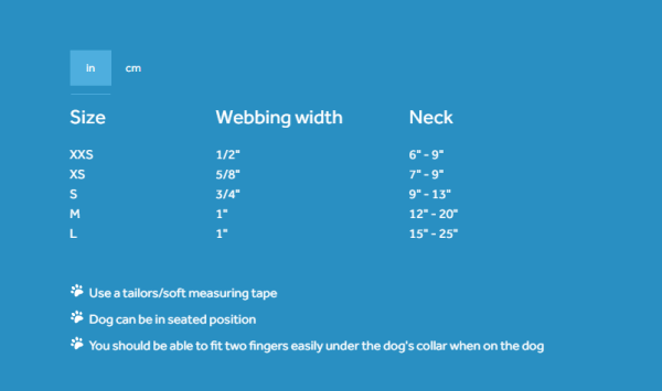 RC Pets Clip Collar for Dogs in Strawberries Pattern For Sale - Image 2