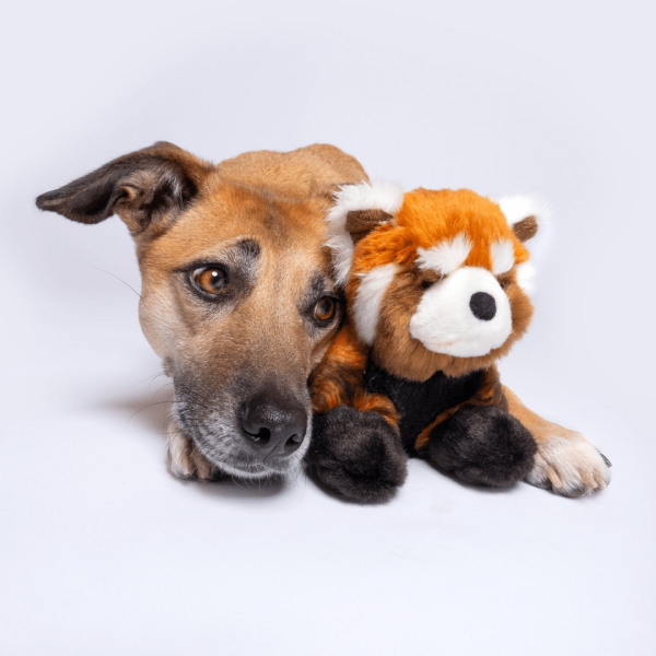 Fluff & Tuff Archie Red Panda Plush Dog Toy Online - Image 4