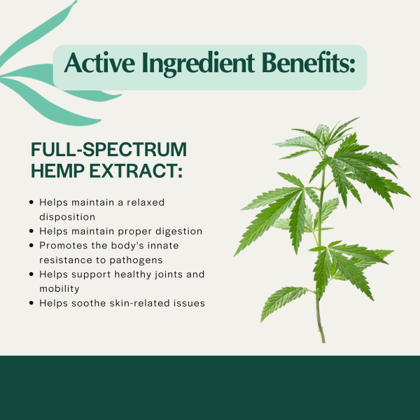 Pet Releaf Daily Releaf 500mg Hemp Oil for Large Dogs Supply - Image 4