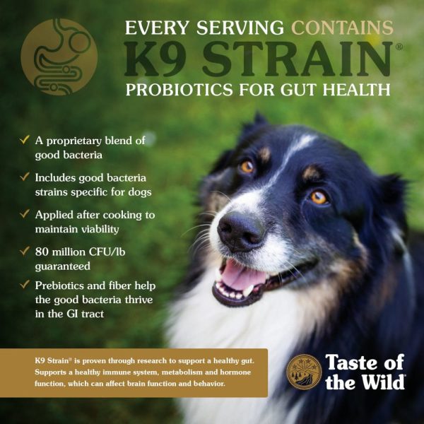 Taste of the Wild Ancient Prairie with Ancient Grains Dry Dog Food For Cheap - Image 5