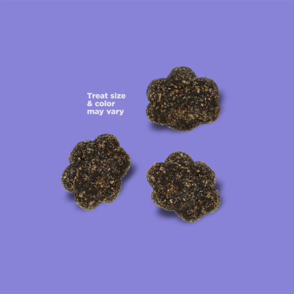 NutriSource Nutty Butter Bites Almond Butter & Blueberry Dog Treats Fashion - Image 4