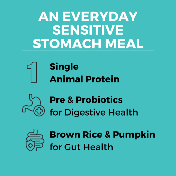 KOHA Limited Ingredient Bland Diet Chicken & Brown Rice Recipe with Pumpkin Dry Dog Food Online now - Image 3