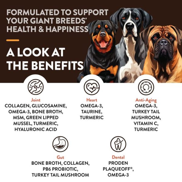 NaturVet Breed Specific Giant Breeds Soft Chews for Dogs For Cheap - Image 3