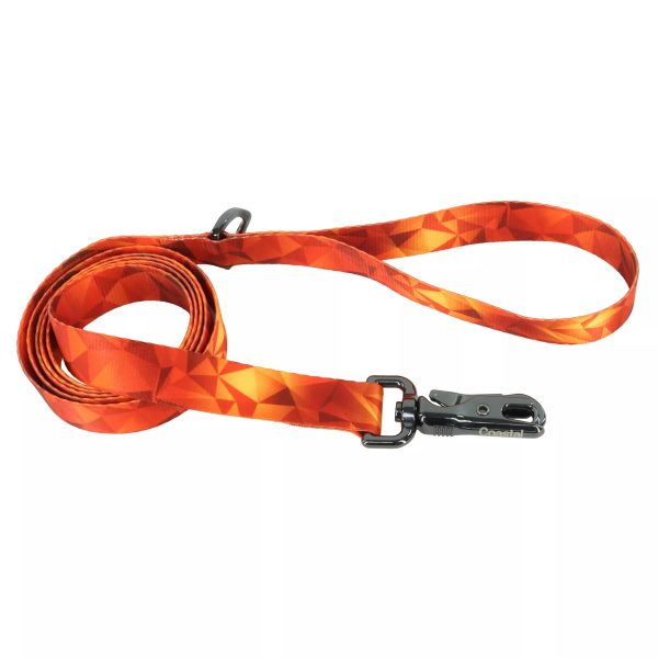 Coastal Pet Products Inspire Fashion Dog Leash in Blazing Shards For Sale