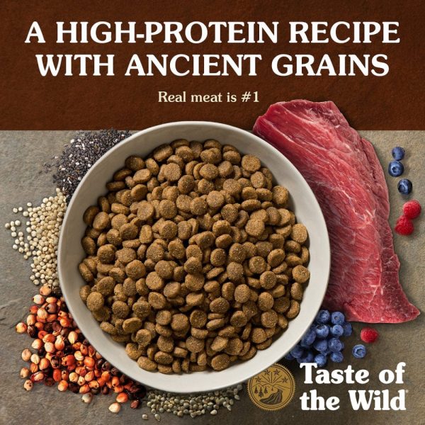 Taste of the Wild Ancient Prairie with Ancient Grains Dry Dog Food For Cheap - Image 4