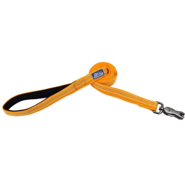 Coastal Pet Products K9 Explorer Brights Reflective Dog Leash in Desert Online Hot Sale