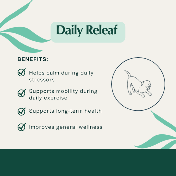 Pet Releaf Daily Releaf 450mg Capsules for Medium & Large Dogs Online now - Image 2