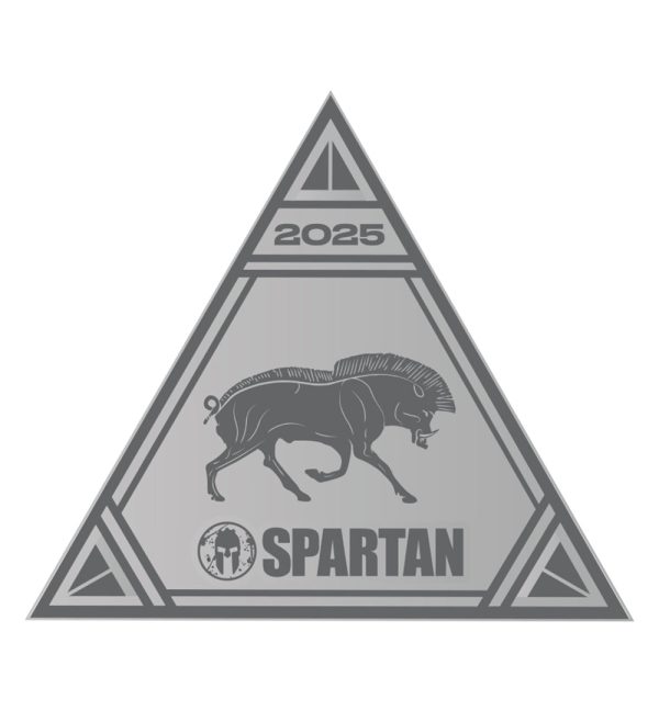SPARTAN 2025 Sprint Delta Icon Online - Image 2