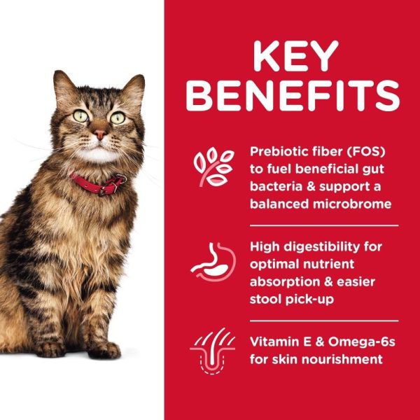 Hill s Science Diet Sensitive Stomach & Skin Chicken & Rice Recipe Adult Dry Cat Food Online now - Image 2