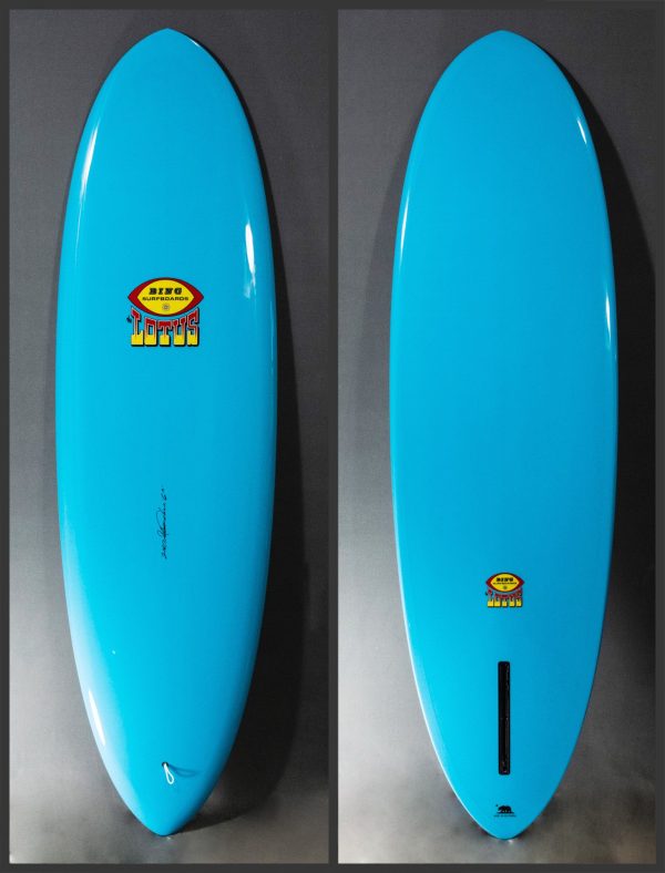 21451  6 2  LOTUS For Sale